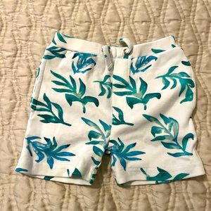 L’oved Baby - Organic Summer Shorts in Seaweed - size 12-18 months